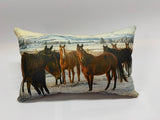Pillow Mares in Winter Pasture