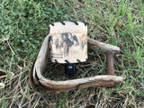 Nightlight Pasture Horses
