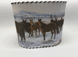 Lampshade Mares in Winter Pasture