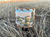 Barrel Cactus Nightlight