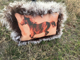 Wild Horse Orange Sherbet Pillow