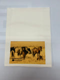 Pasture Horses Dish Towel