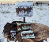 Pillow Mares in Winter Pasture