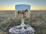 The Rancher in Color Lampshade