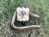 Nightlight Pasture Horses