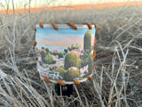 Barrel Cactus Nightlight