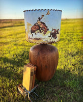 Lampshade Will James The Stray